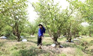 Bắc Giang: Nữ Trưởng Ban công tác mặt trận hết lòng vì bà con nghèo