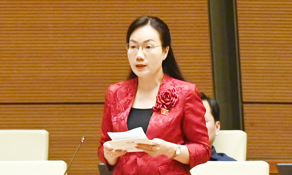  Đại biểu Quốc hội tỉnh Bắc Giang thảo luận về dự án Luật sửa đổi, bổ sung một số điều của Luật Quốc tịch Việt Nam