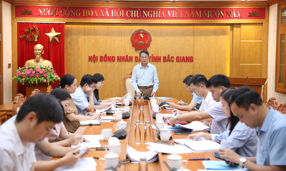 Ban Kinh tế - Ngân sách HĐND tỉnh Bắc Giang thẩm tra các báo cáo, dự thảo nghị quyết 