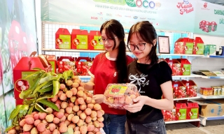 Chú trọng phát triển OCOP xanh