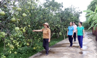 Vốn vay ưu đãi - “Đòn bẩy” thoát nghèo