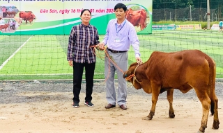 Liên Sơn: Nhiều hộ dân tự nguyện "xin" thoát nghèo