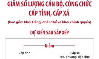 Dự kiến sau sắp xếp, cấp tỉnh giảm hơn 18.440 biên chế cán bộ, công chức