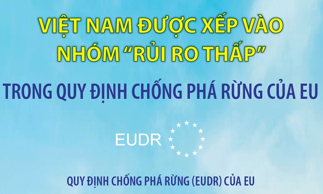  Việt Nam được xếp vào nhóm “rủi ro thấp” trong Quy định chống phá rừng của EU