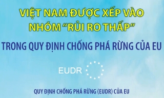 Việt Nam được xếp vào nhóm “rủi ro thấp” trong Quy định chống phá rừng của EU