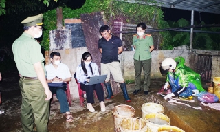 Phát hiện gần 3 tấn thịt lợn dương tính với virus dịch tả lợn châu Phi 