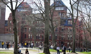 Tổng thống Donald Trump: Đại học Harvard nên giới hạn tỷ lệ sinh viên nước ngoài