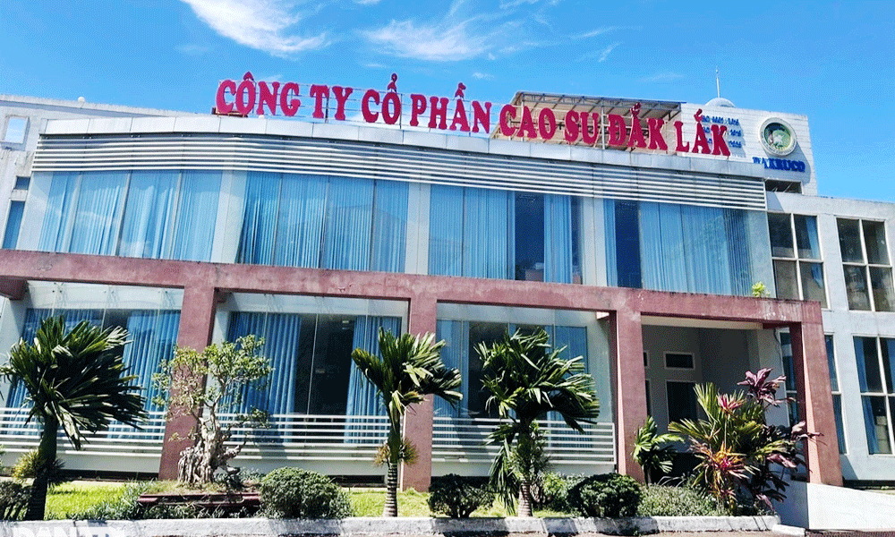  Truy nã con trai nguyên Chủ tịch Công ty Cao su Đắk Lắk
