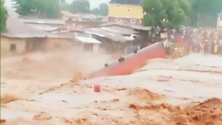 Ít nhất 117 người đã tử vong do lũ lụt tại Nigeria