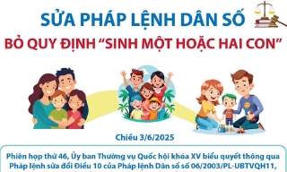 Vợ chồng tự quyết định số con và thời gian sinh con