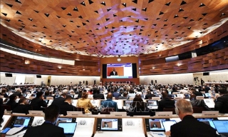 ILO trao quy chế Nhà nước quan sát viên cho Palestine