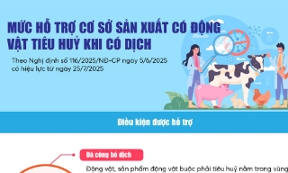 Mức hỗ trợ cơ sở sản xuất có động vật tiêu huỷ khi có dịch
