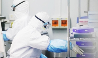 Nghiên cứu của Australia hé lộ cách virus SARS-CoV-2 tiếp tục tiến hóa