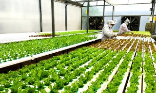 Bổ sung chính sách tín dụng khuyến khích nông nghiệp hữu cơ, tuần hoàn