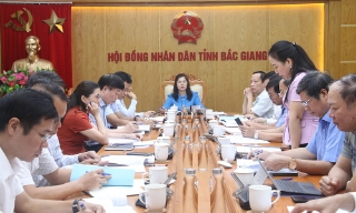 Đảng đoàn HĐND tỉnh Bắc Giang thẩm định dự thảo nghị quyết về lĩnh vực văn hóa