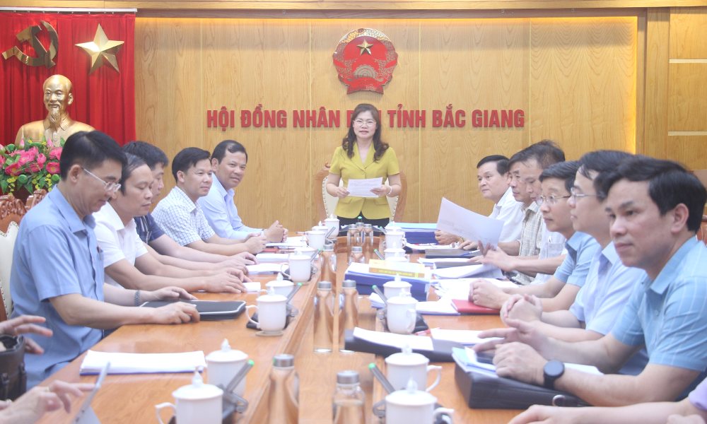  Đảng ủy HĐND tỉnh Bắc Giang thẩm định kết hợp thẩm tra một số dự thảo nghị quyết