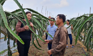 Bắc Giang: Xây dựng gần 14,9 nghìn mô hình, điển hình dân vận khéo